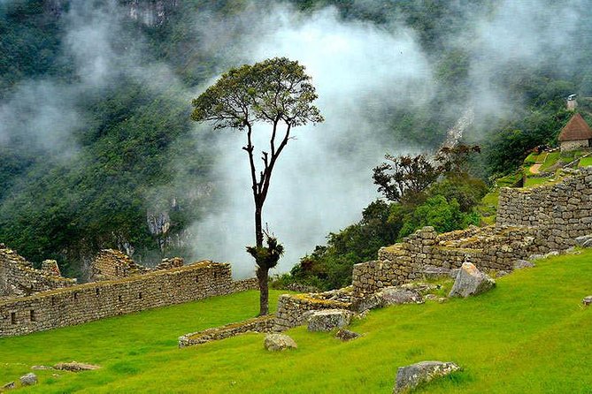 07 Day: Inca Jungle Adventure with Mountain Bike, Rafting, Zipline & Trek - Day 4: A historic trail, tropical fruit, and ziplining
