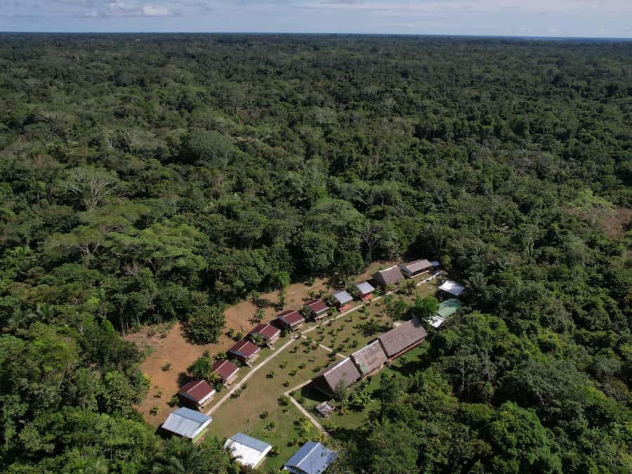 2-Day All Inclusive Guided Jungle Tour from Iquitos - Why this two-day Amazon tour works for a short visit