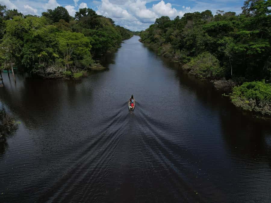 2-Day All Inclusive Guided Jungle Tour from Iquitos - Monkey Island and its unusual residents