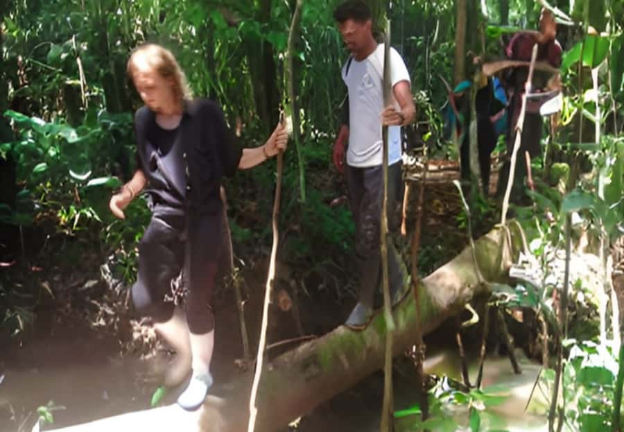 2-Day All Inclusive Guided Jungle Tour from Iquitos - Pink dolphins, swimming, and two hours on the water