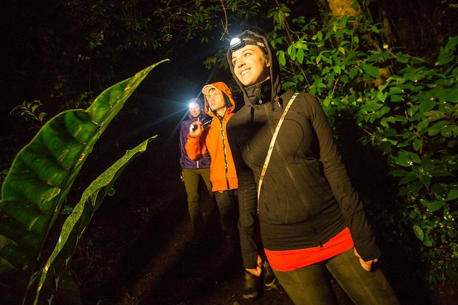 2-Day All Inclusive Guided Jungle Tour from Iquitos at Maniti Eco-Lodge - What the lodge is really like for one night