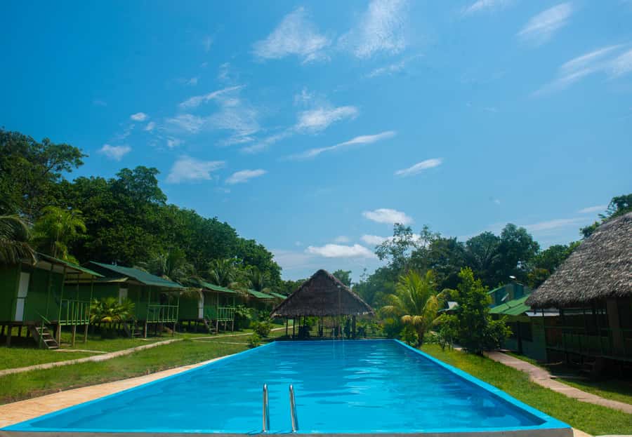2-Day All Inclusive Guided Jungle Tour from Iquitos - From Iquitos to Bellavista Nanay by tuk tuk