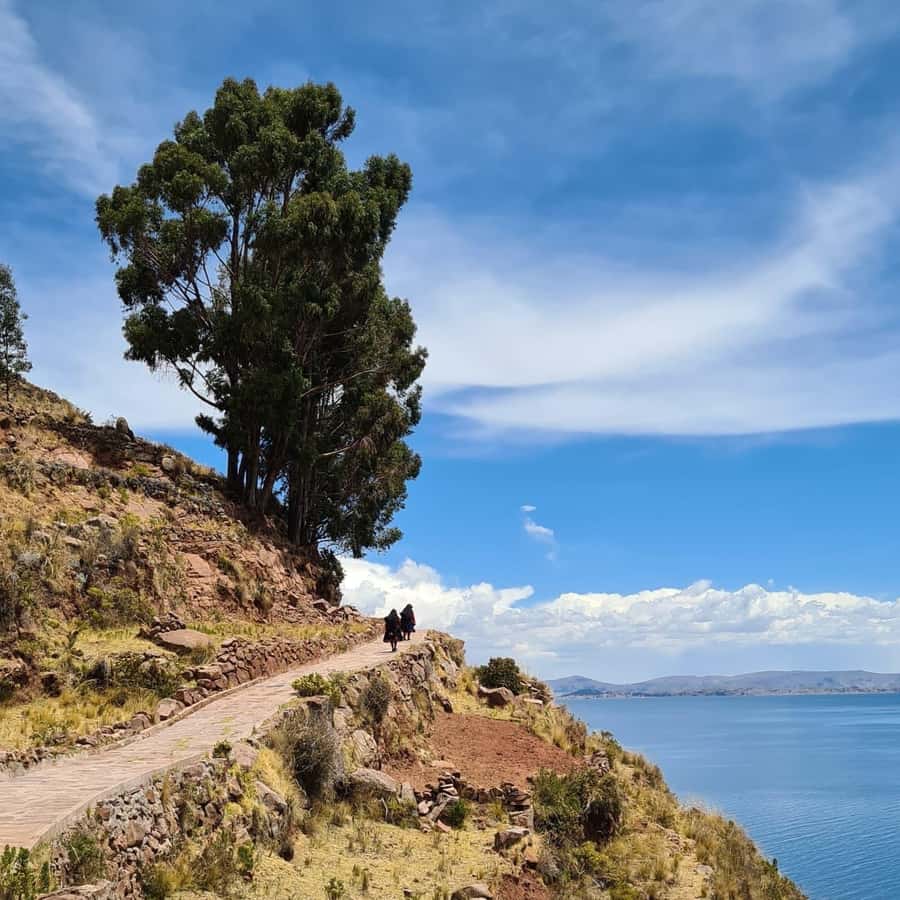 2-Day Amantani Island homestay overnight Tour from Puno - The boat back to Puno