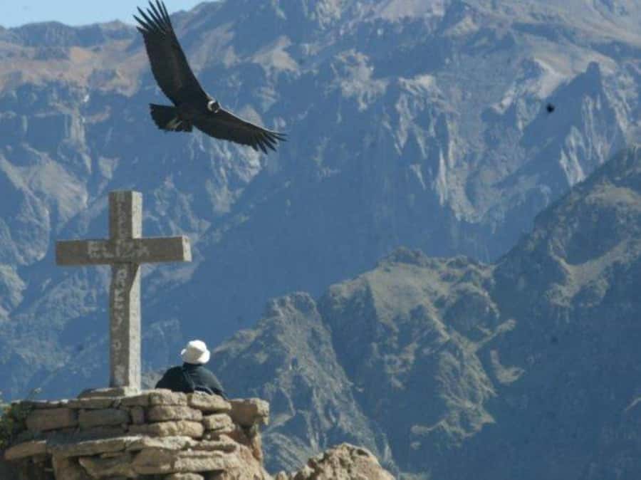 2-Day Colca Canyon Tour to Puno with accommodation - Patapampa and the altitude question