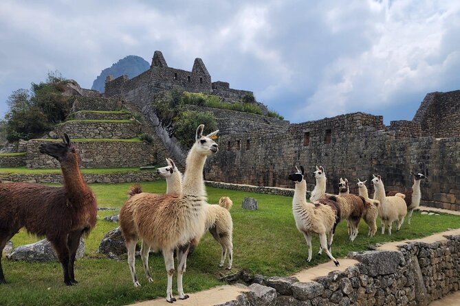 2 Day - Inca Trail to Machu Picchu - Chachabamba to Wiñay Wayna