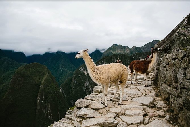 2-Day Short Inca Trail to Machu Picchu - Walking to the Sun Gate