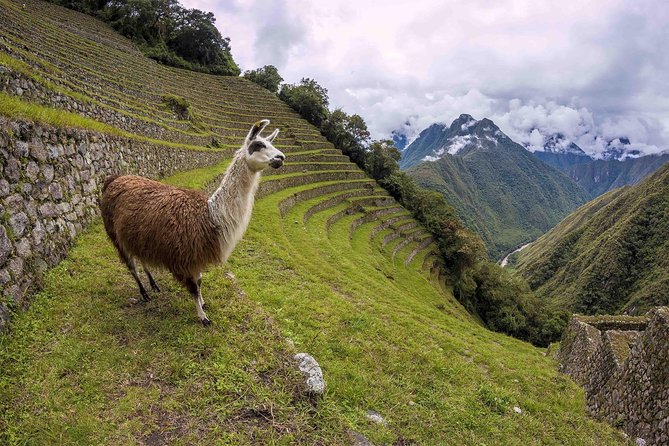 2-Day Short Inca Trail to Machu Picchu - The early walk to Machu Picchu