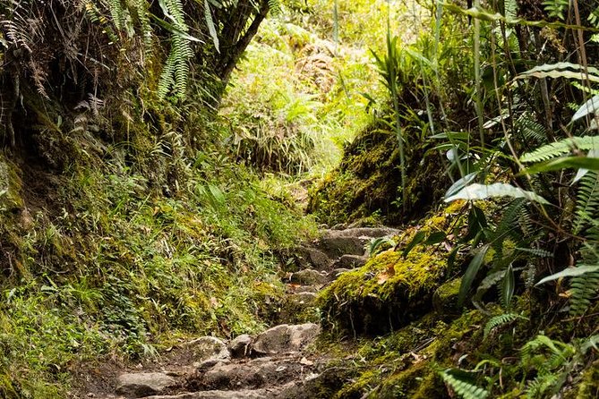 2 Day - Short Inca Trail to Machu Picchu - Group Service - The return journey is organized but not direct