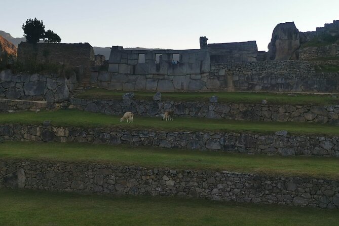 2-Day Tour in Sacred Valley and Machu Picchu from Cusco - Guide quality and group size