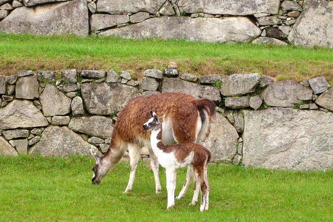 2 Day - Tour to Machu Picchu from Cusco - Group Service - Is $480 a fair price?
