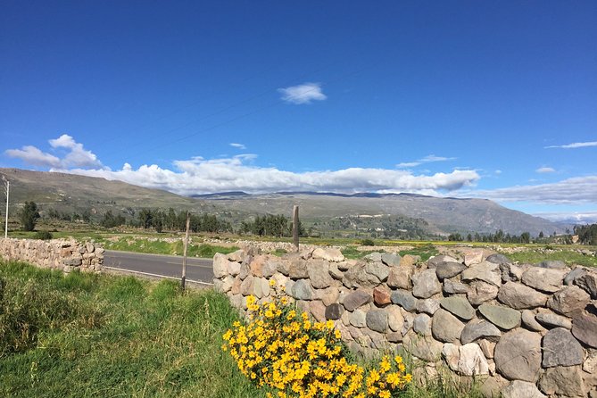 2 Day Trek Including Transfer to Puno / Colca Canyon - The three-hour descent into Colca Canyon