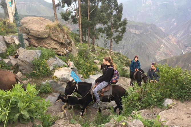 2 Day Trek Including Transfer to Puno / Colca Canyon - Sangalle’s warm pool and basic overnight stay