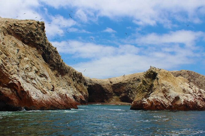 2-Hour Tour to the Ballestas Islands from Puerto San Martín - The best way to prepare for the morning