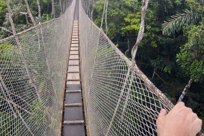 3-Day All Inclusive Guided Jungle Tour from Iquitos at Maniti Eco-Lodge - Guides, group size, and the human side of the trip