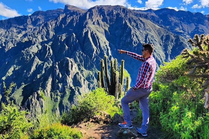3-Day Colca Canyon trek with Professional Guide - Transport, group size, and practical planning