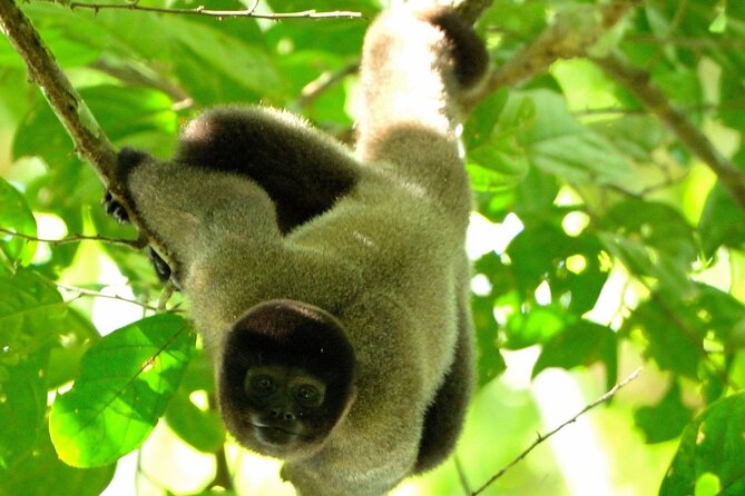 3-Day Eco-Sustainable Private Tour Manu National Park - Key things to know before booking