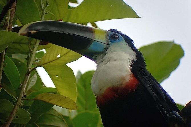 3-Day Eco-Sustainable Private Tour Manu National Park - Day one: Ninamarca and the Kosñipata cloud forest