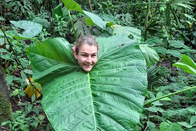 3-Day Eco-Sustainable Private Tour Manu National Park - Food, lodging, and comfort in the forest