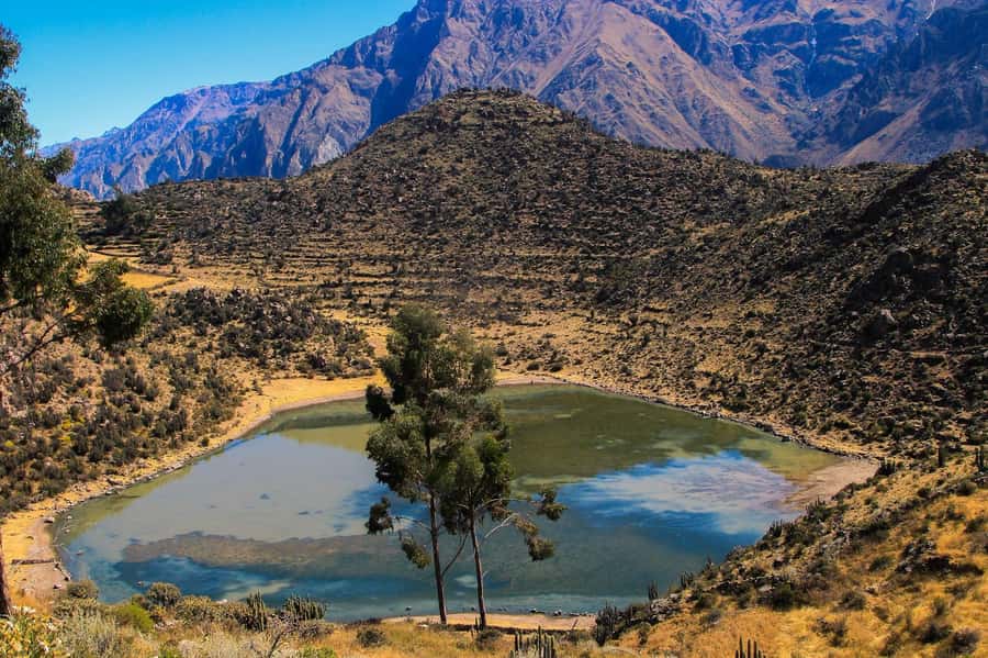 3-day trek to the Colca Canyon from Arequipa ending in Puno - Why this trek is more than a viewpoint visit