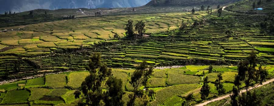3-day trek to the Colca Canyon from Arequipa ending in Puno - Practical advice for a smoother trip