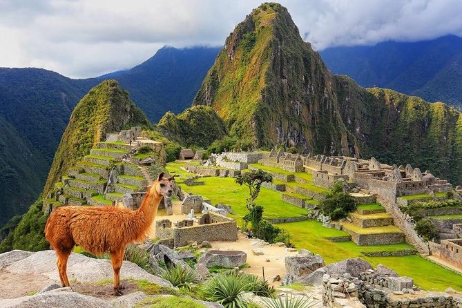 4-Day Excursion to MachuPicchu & Rainbow Mountain & City tour || All Included || - Day 3: Machu Picchu by rail from Ollantaytambo