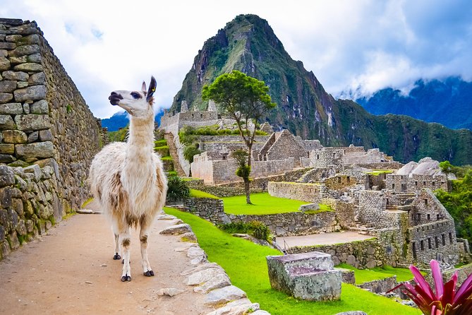 4-Day Excursion to MachuPicchu & Rainbow Mountain & City tour || All Included || - Hotel quality and the case for booking your own room