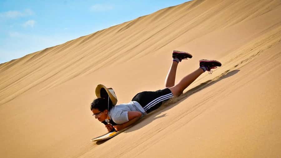 4 Day from Lima: Nazca Lines Flight, Paracas, and Huacachina - Day 4: The Nazca Lines from the air
