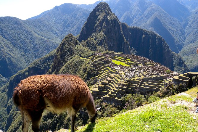 4 Day - Machu Picchu Special - Group Service - Day two: The train to Aguas Calientes