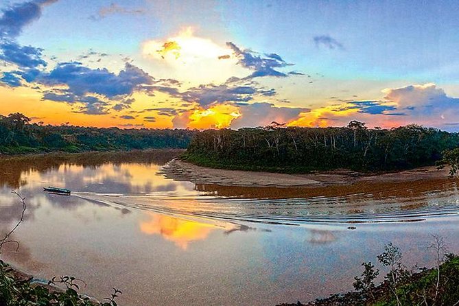 4 Day Tambopata Amazon Wildlife & Canopy Experience - Four details that shape this Amazon experience