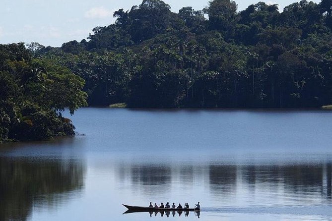 4 Day Tambopata Amazon Wildlife & Canopy Experience - Day 3: Piranhas, a jungle challenge, and a slower afternoon