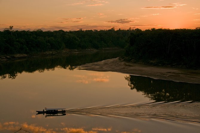 4 Day Tambopata Amazon Wildlife & Canopy Experience - Day 4: Clay-eating parrots and a visit with a local family