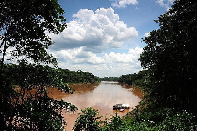 4 Day Tambopata Amazon Wildlife & Canopy Experience - The guides can make or break the four days