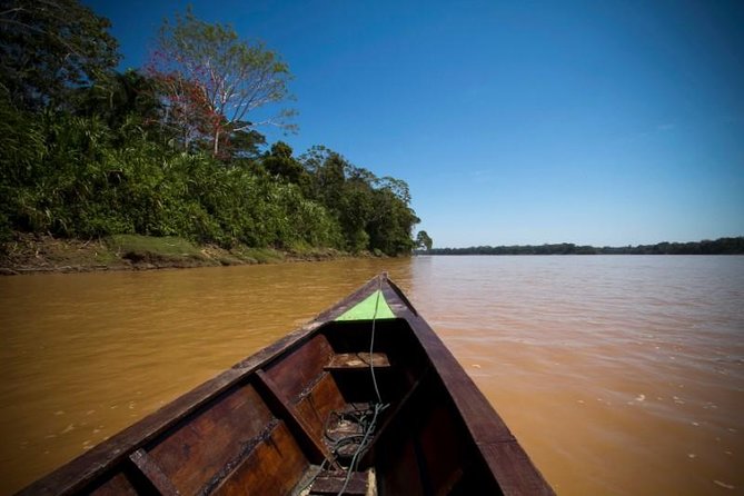 4 Day Tambopata Amazon Wildlife & Canopy Experience - Comfort, clothing, and the practical trade-offs