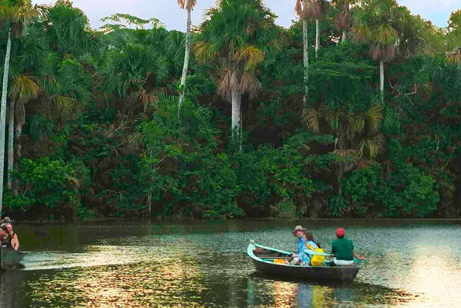 4 Day Tambopata Amazon Wildlife & Canopy Experience - Day 2: A 40-meter canopy and the long walk to Sandoval Lake
