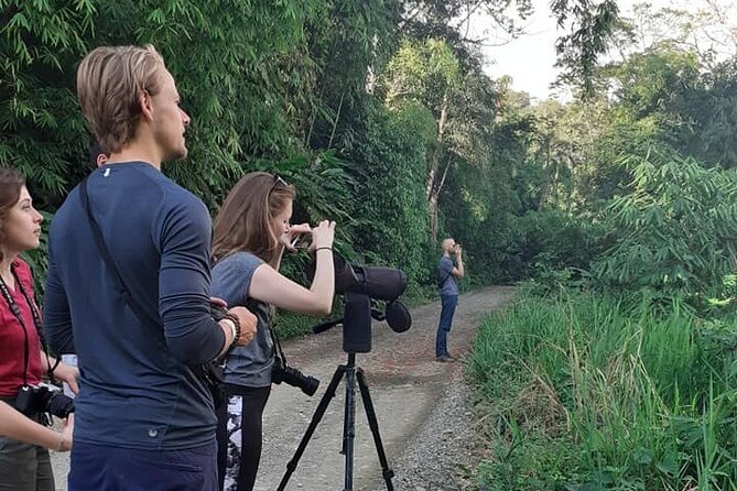 4 Day Tour to the Manu National Park - Day 3: Macaws, forest trails, and a high canopy zipline