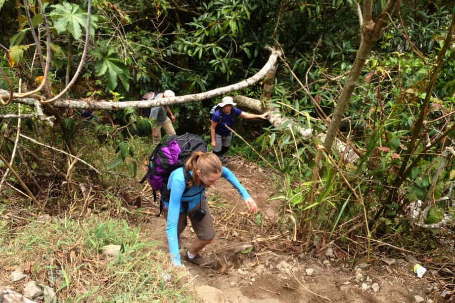 4 Days Inca Jungle Adventure to Machu Picchu - Day 3: Zip-lines, the railroad walk, and Aguas Calientes