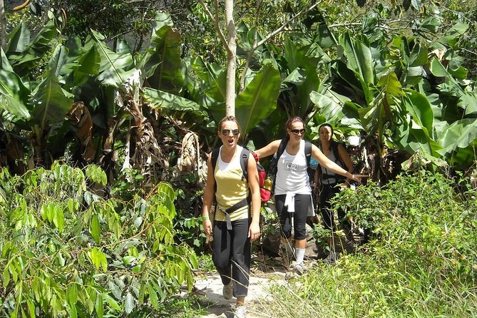 4 Days Inca Jungle to Machu Picchu Standard - Lodging, meals, and group support