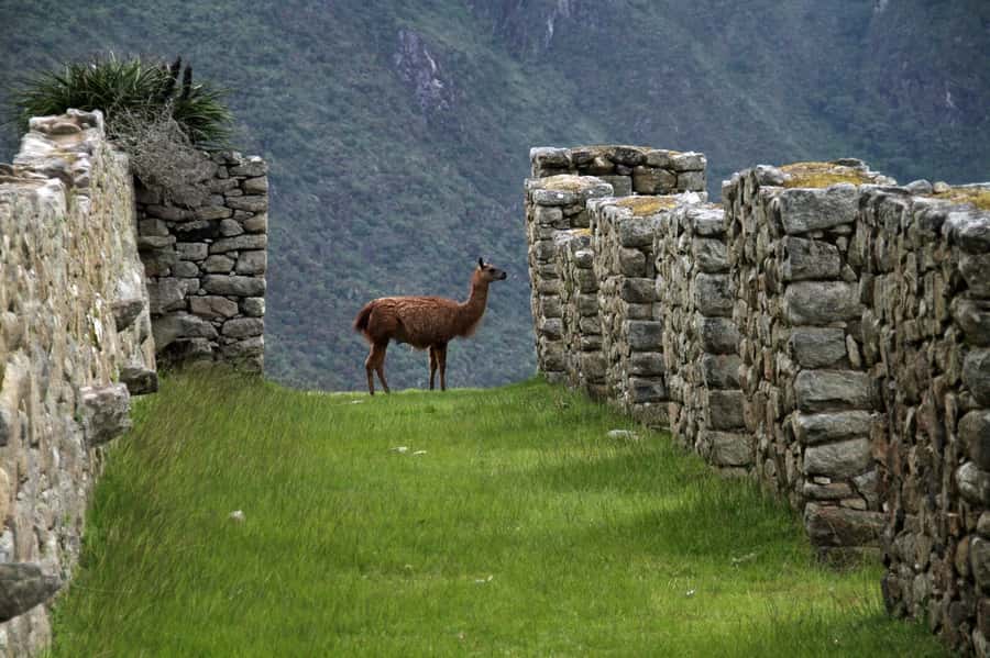 5-Day Classic Salkantay Trek to Machu Picchu return by Train - Why this Salkantay trek is different