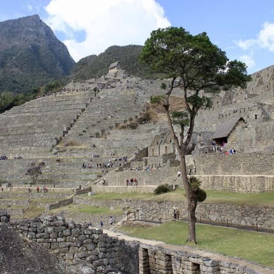 5-Day Classic Salkantay Trek to Machu Picchu return by Train - Who should choose this trek