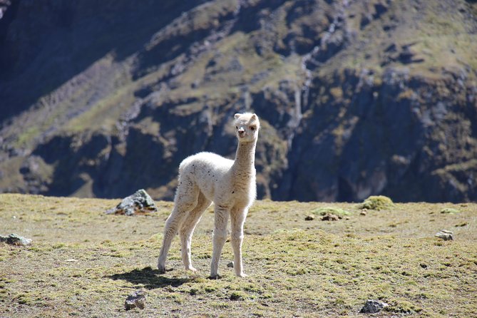 5 Day - Salkantay trek to Machu Picchu - Group Service - Is the Salkantay route really remote?