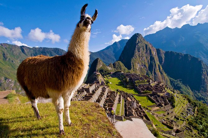 5 Day - Tour to Machu Picchu Traditional - Group service - Day 1: Cusco sites from Qorikancha to Tambomachay