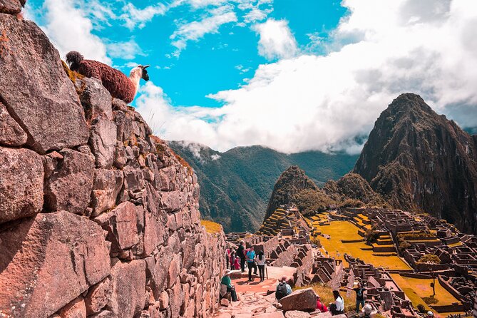 6-Day Tour of Cusco Magico-Machu Picchu-Rainbow Mountain - A fast start in Cusco: Qoricancha and the four nearby ruins