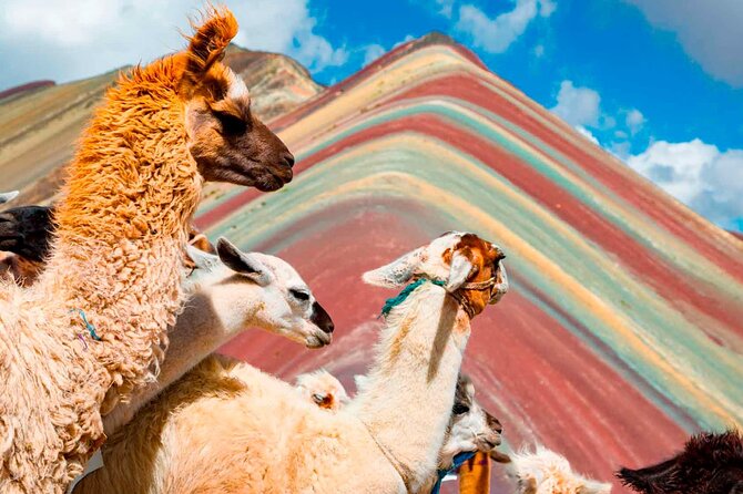 6-Day Tour of Cusco Magico-Machu Picchu-Rainbow Mountain - Rainbow Mountain reaches 5,080 meters