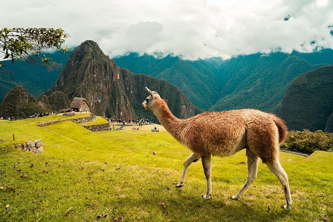 6-Day Tour of Cusco Magico-Machu Picchu-Rainbow Mountain - Machu Picchu gets the full morning