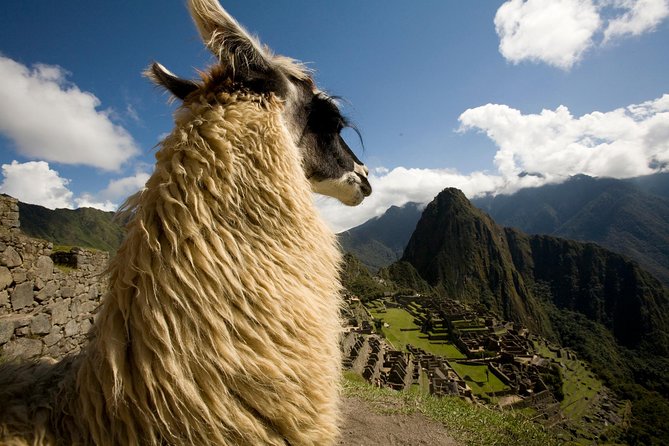 7 Day Peru Private Journey - Day 7: A simple departure day