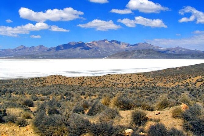 8-Hours Tour in Arequipa Laguna de Salinas with Pick-up - The Bumpy Road and the 4,200-Meter Problem