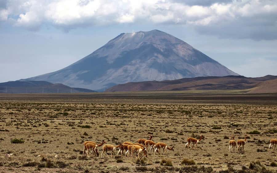 Adventure Day in Arequipa: Pillones Waterfall + Rock Forest - Pillones Waterfall and the careful walk to the rocks