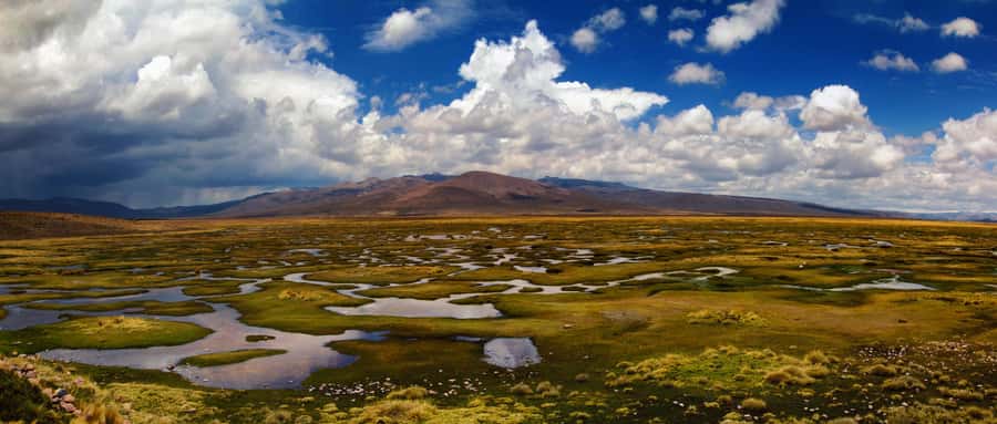 Adventure Day in Arequipa: Pillones Waterfall + Rock Forest - Puruña Rock Forest and its strange stone shapes