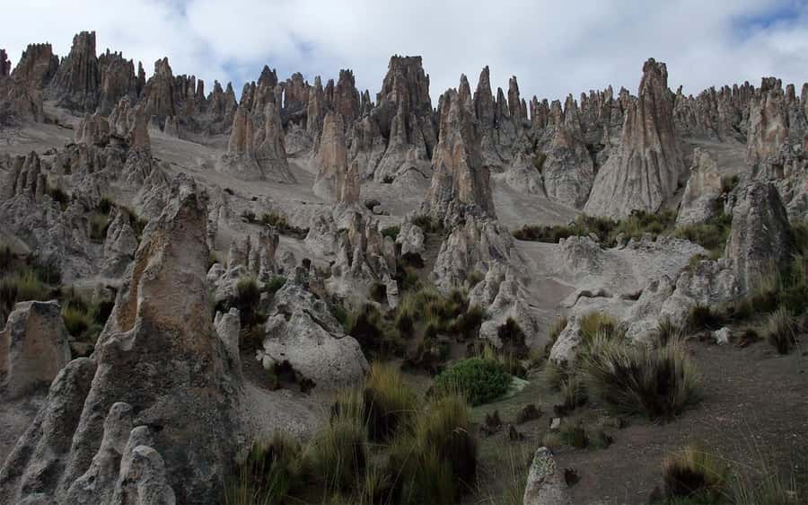 Adventure Day in Arequipa: Pillones Waterfall + Rock Forest - Guides, group size, and an important reliability check