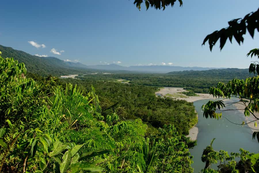 Amazonas Manu Cultural Zone 4 Days / 3 Nights - The Parrot Clay Lick Before Breakfast